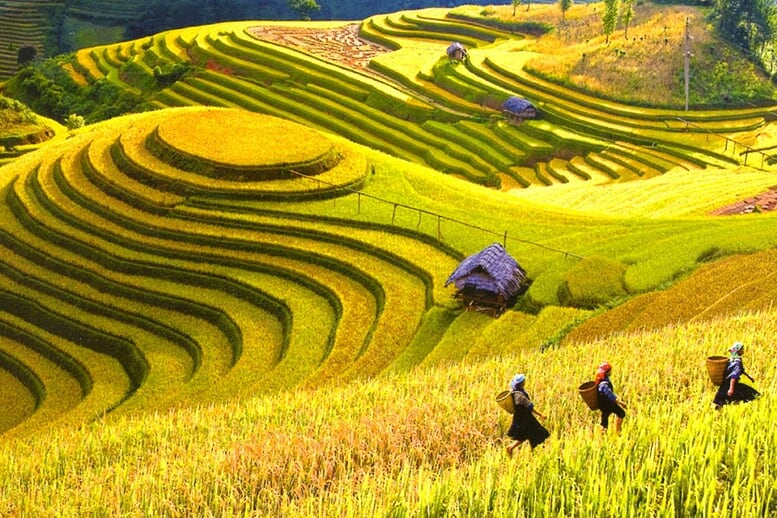 sapa-biking-homestay-2d3n-5