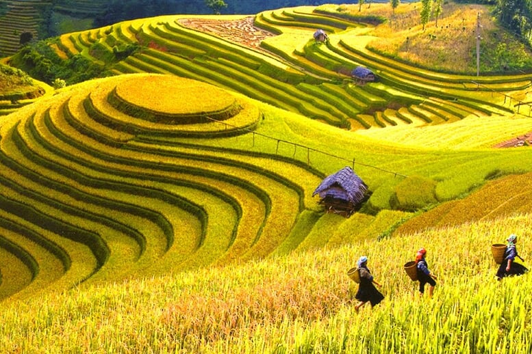 sapa-trekking-full-day-3