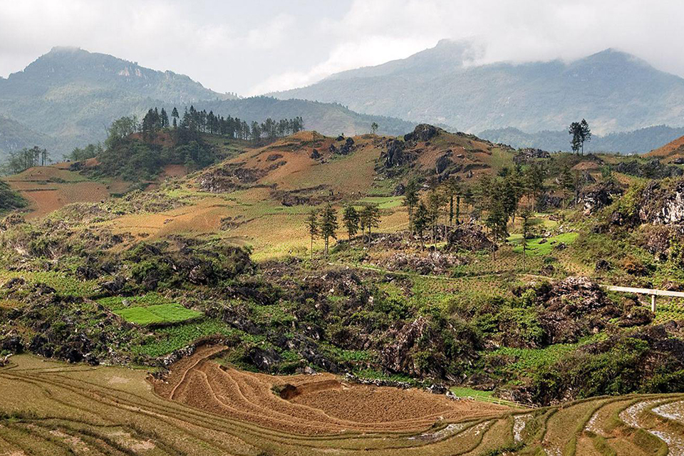 960-terraces-after-harvest-season
