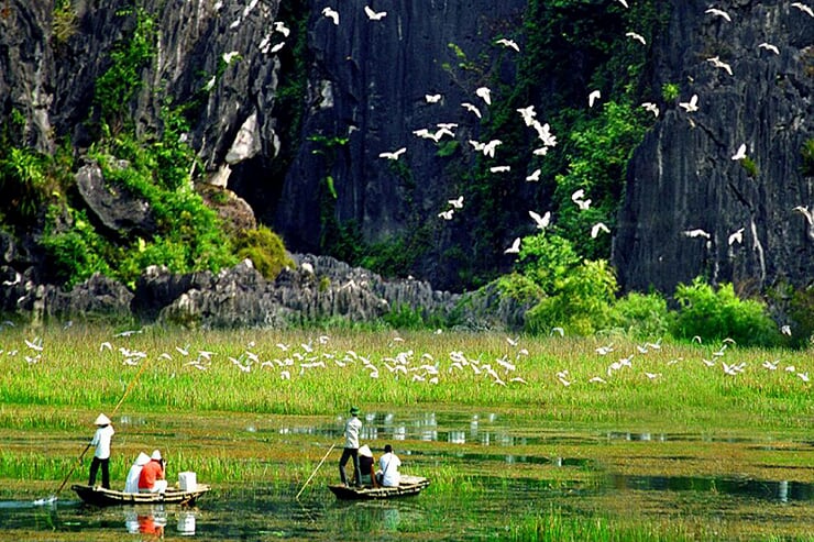 thung-nham-bird-garden-2