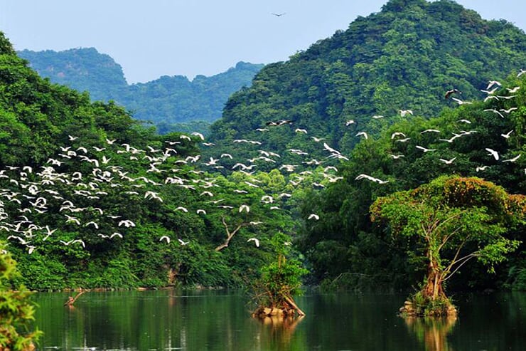 thung-nham-bird-garden-1