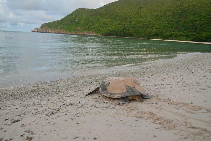 explore-bay-canh-island-with-canoe-5