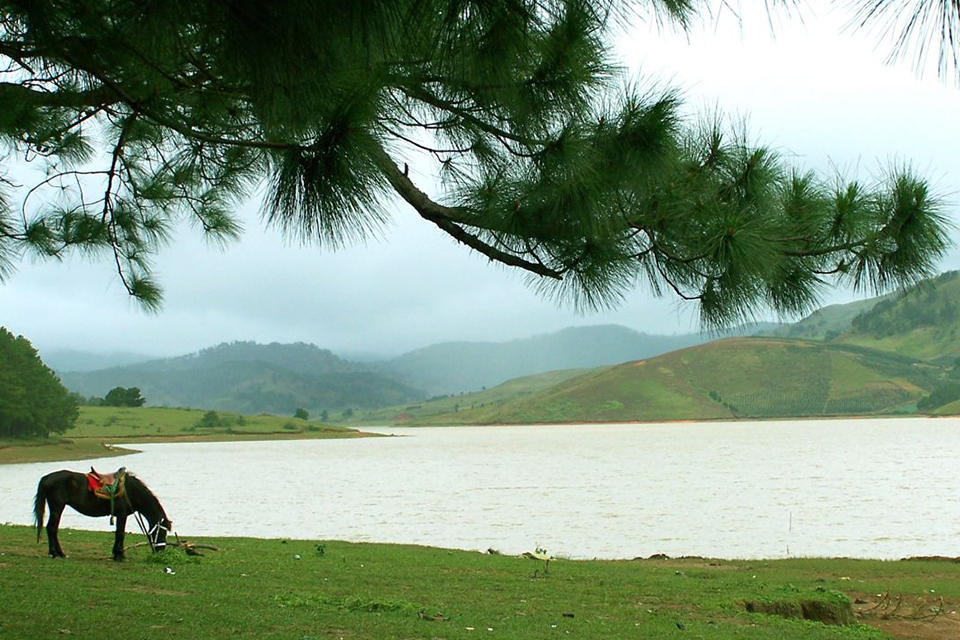 960-tuyen-lam-lake-da-lat