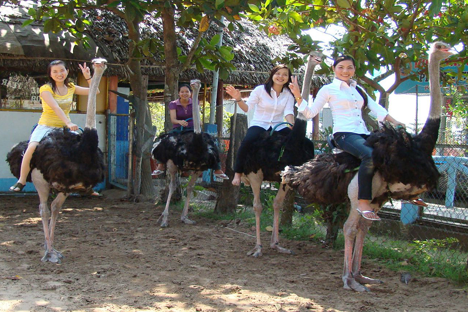 vinh-sang-farm-vinh-long-mekong-bailing-canal-2-days-2