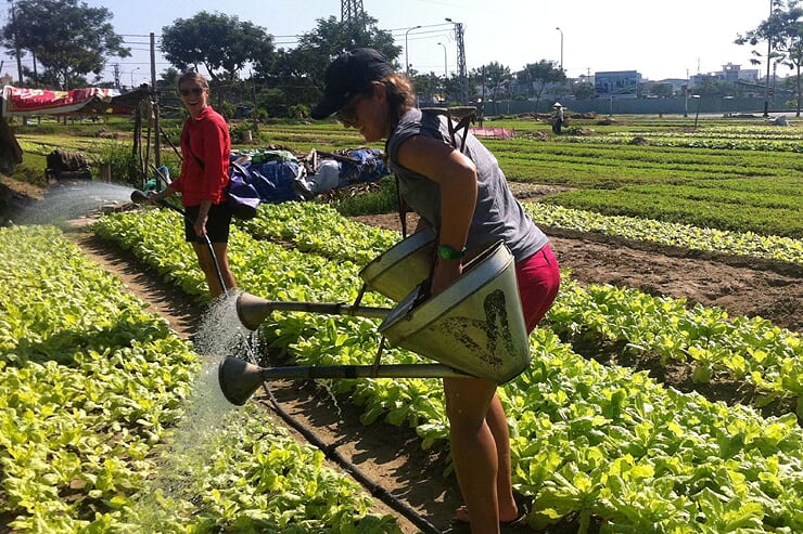 watering-in-garden