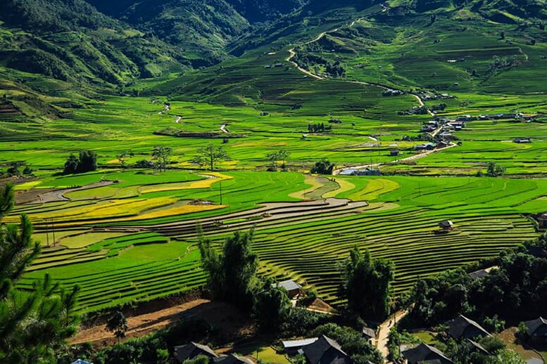sapa-trekking-bac-ha-market-3d4n-1