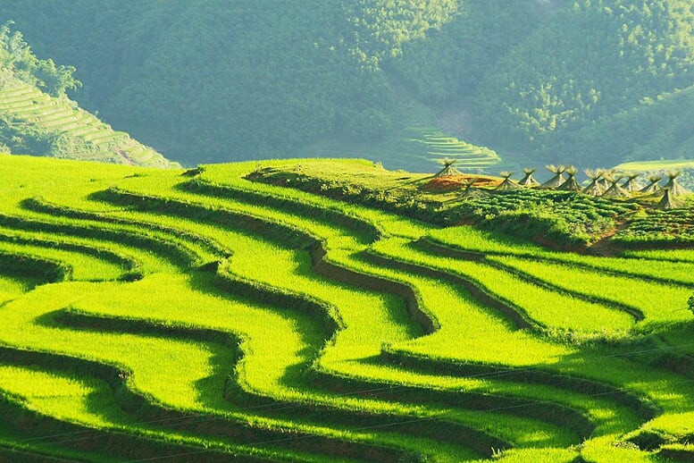 sapa-trekking-and-market-3d4n-7