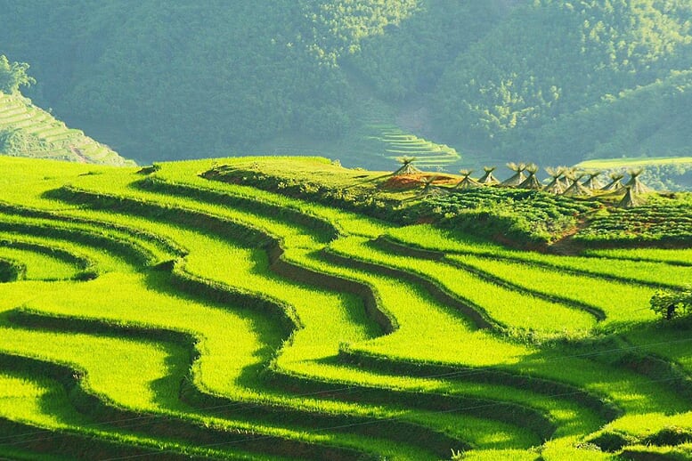 sapa-moderate-trek-7