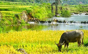 Pu Luong Retreat 3 days/ 2 nights