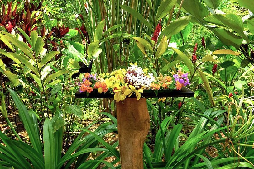 kuang-si-butterfly-park