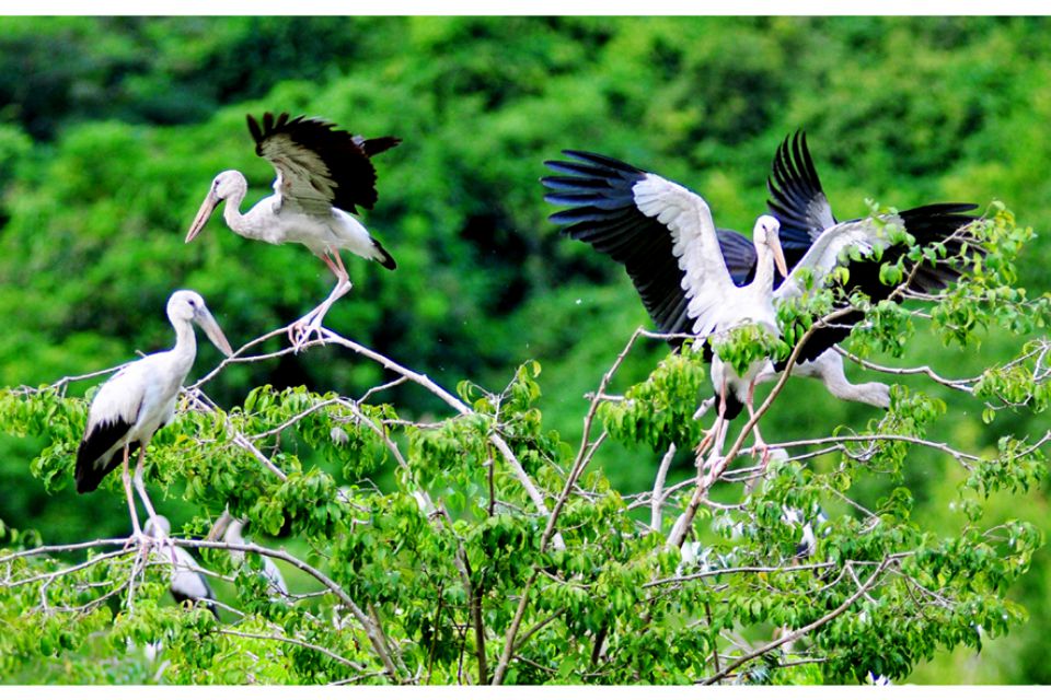 hoa-lu-thung-nham-bai-dinh-trang-an-2days-2