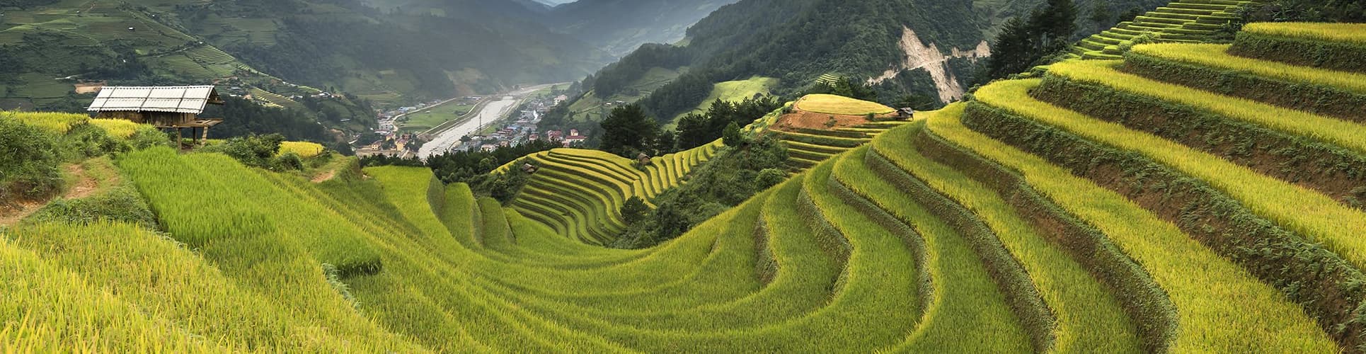 Vietnam Travel Mates