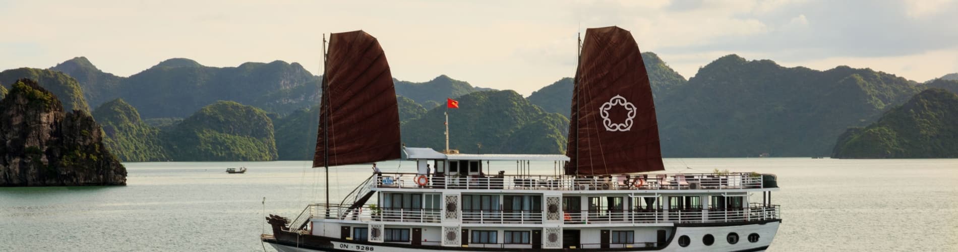 Apricot Premium Cruise