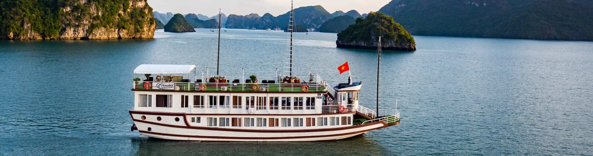 Lavender Elegance Cruise
