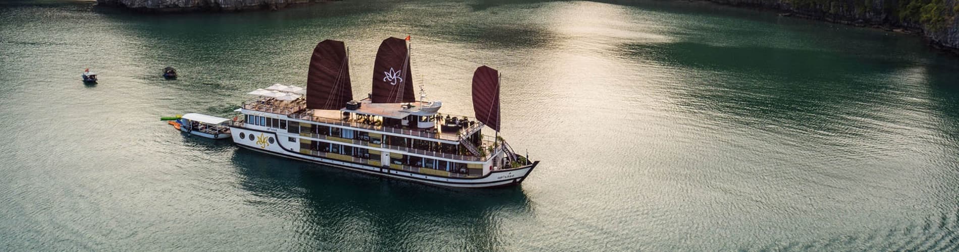 Orchid Cruise