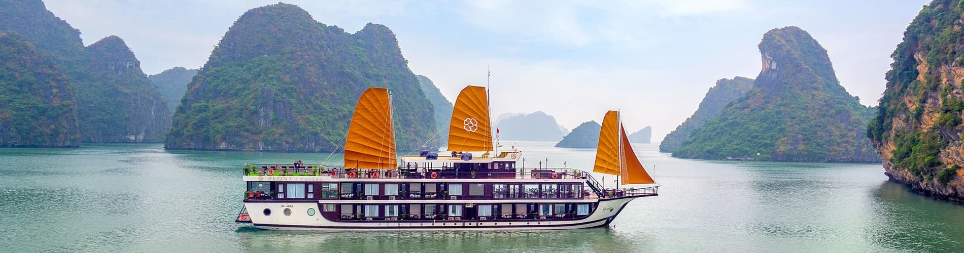 Peony Cruise