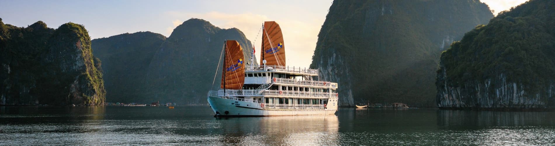 UniCharm Cruise
