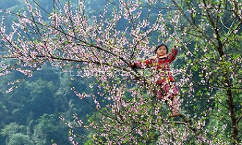 What To See In Northern Vietnam In Spring