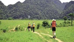 Group tour 