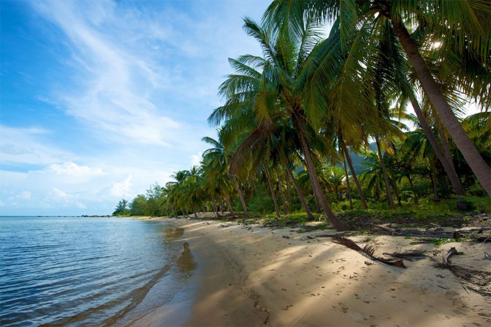 pineapple-island