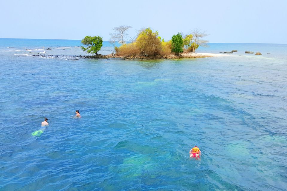 swimming 