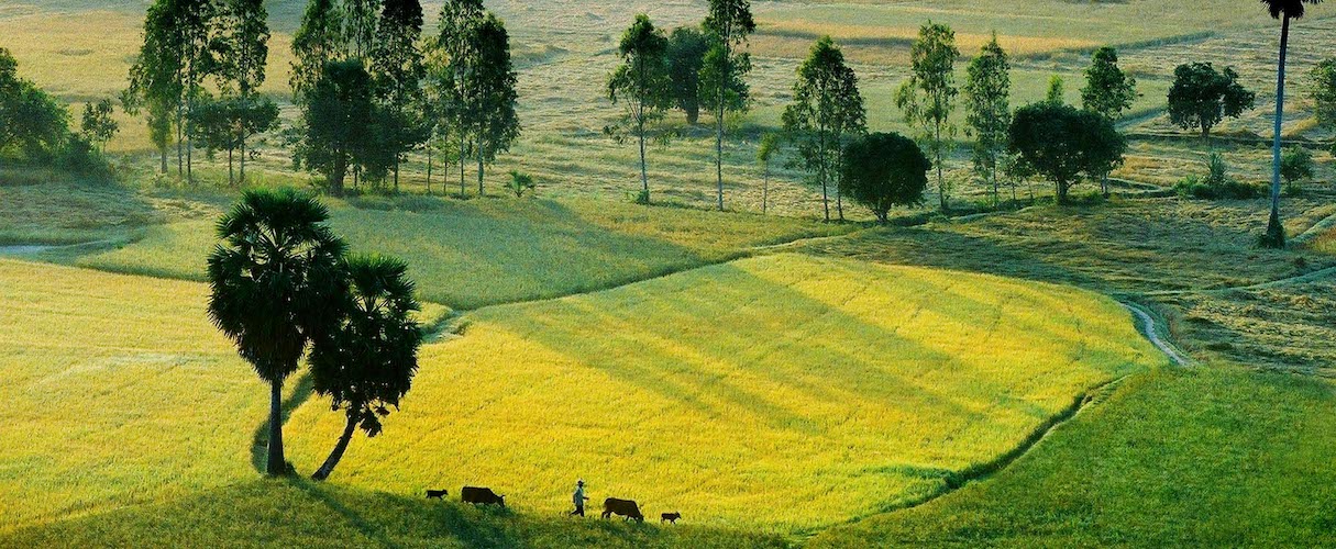 An Giang