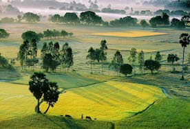 An Giang