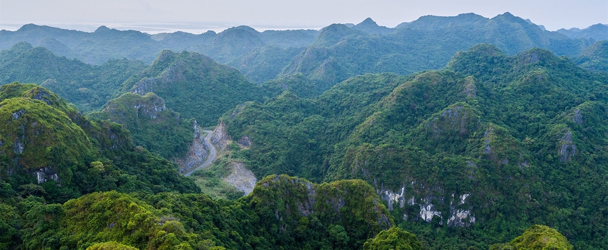 Cat Ba National Park