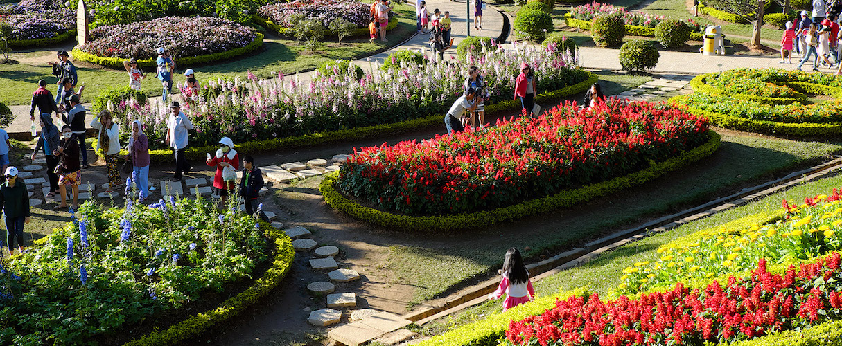 Da Lat Flower Garden