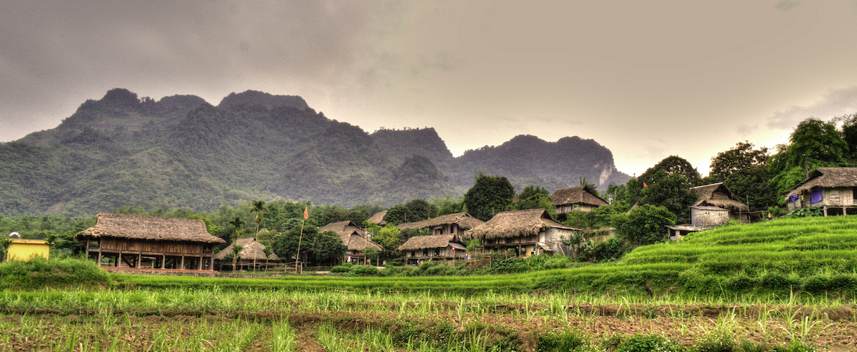 Hoa Binh