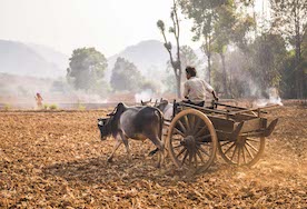 Kalaw