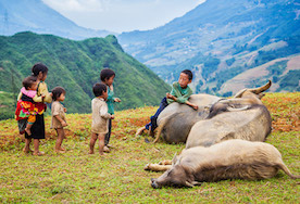 Lao Chai