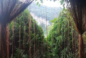 Hospital Cave