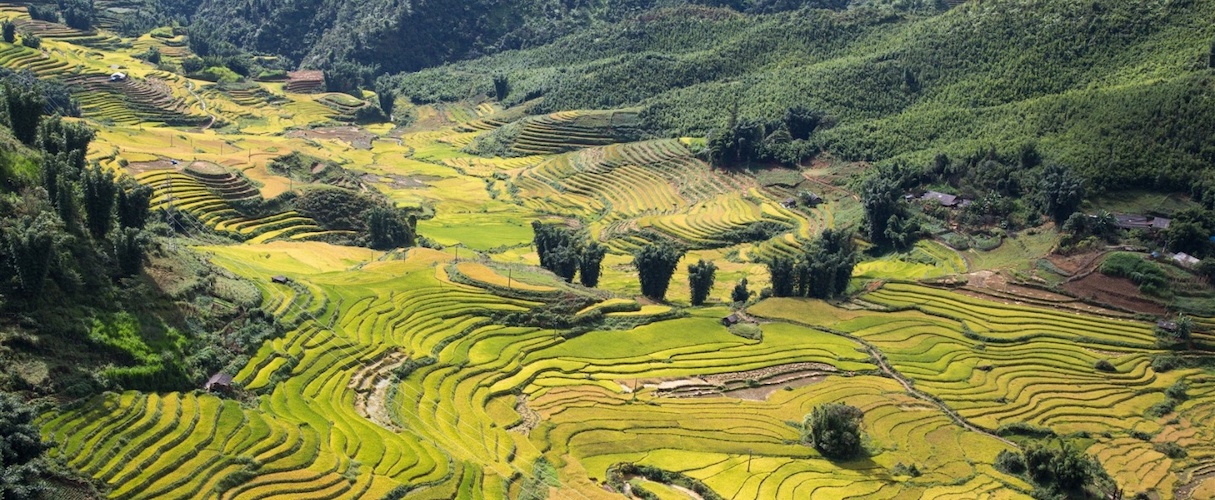 Nam Sai Village
