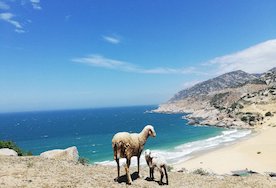 Ninh Thuan