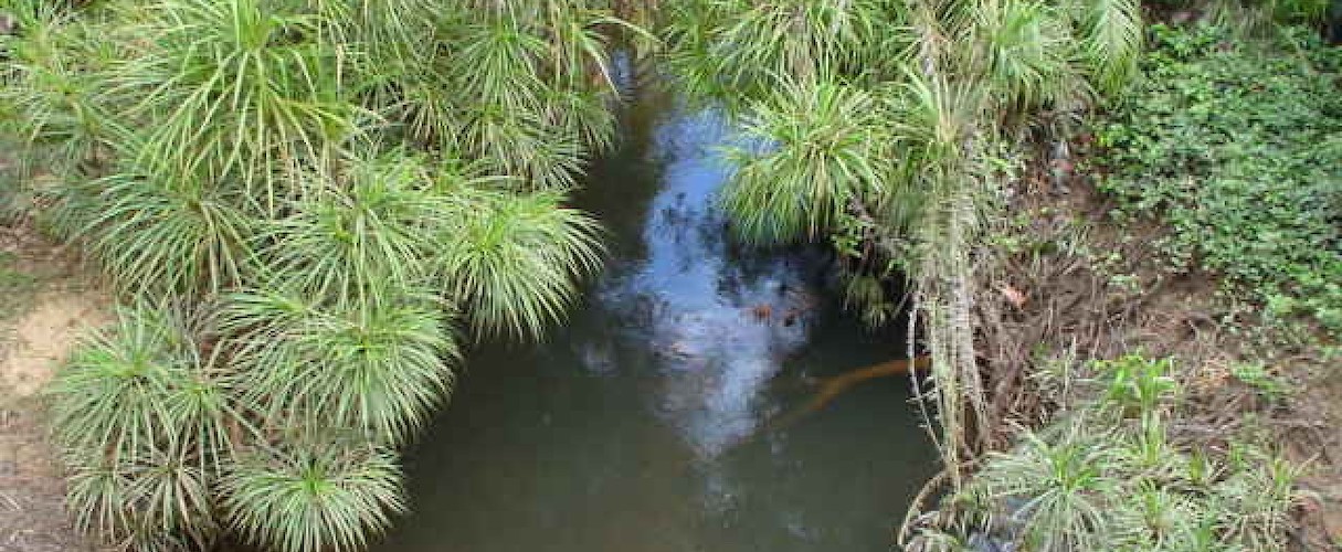 Phu Quoc National Park