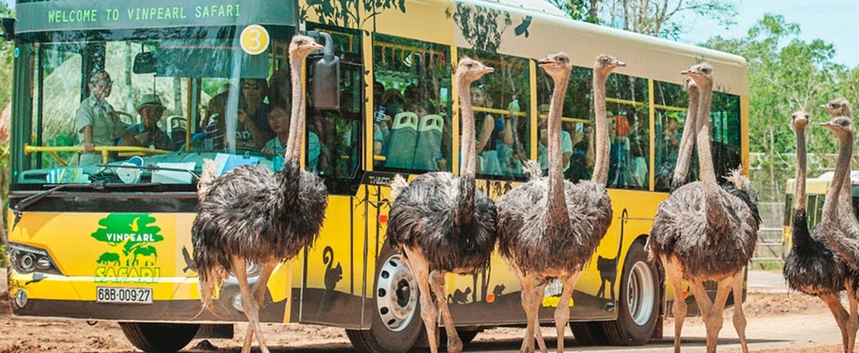 Phu Quoc Vinpearl Safari