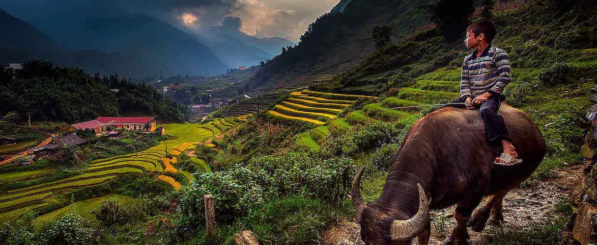 Sapa