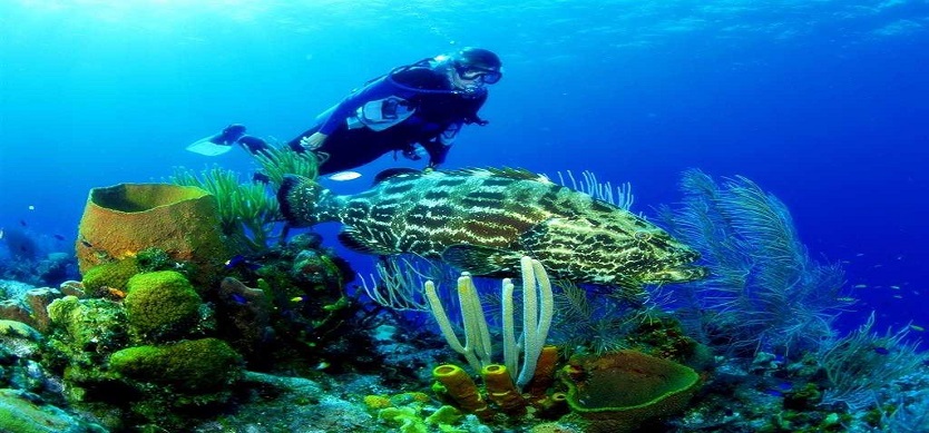 Scuba Diving in Nha Trang
