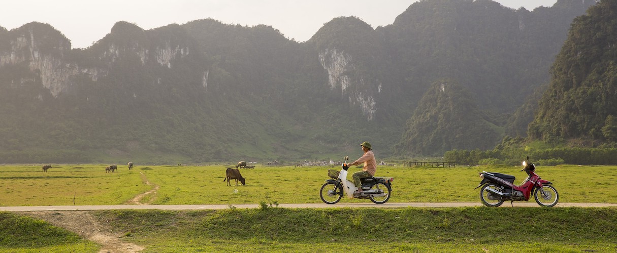 Tan Hoa