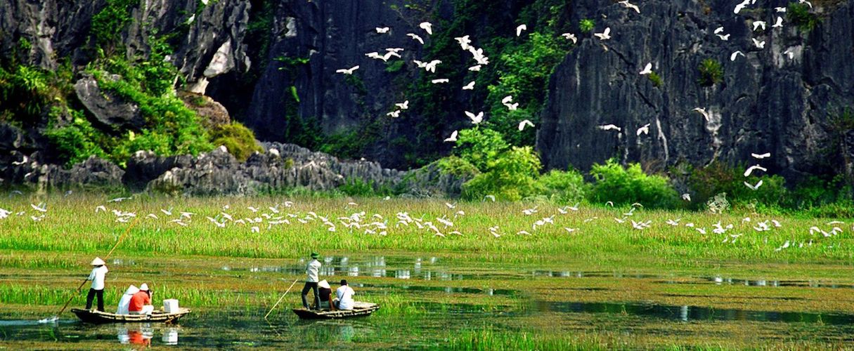 Thung Nham Bird Park