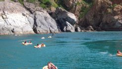Private tour