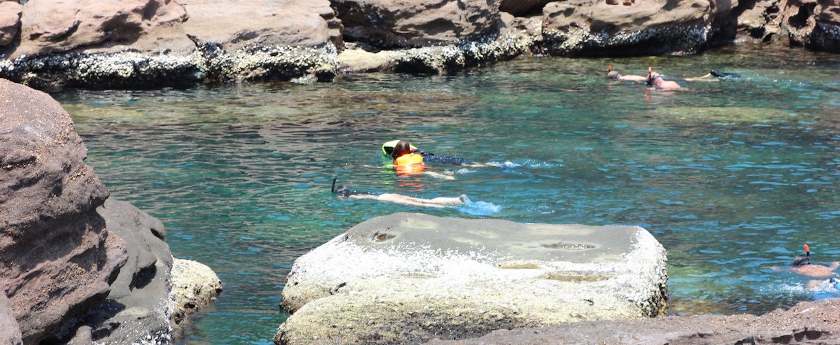 Turtle Island