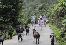 Viet Hai Village   
