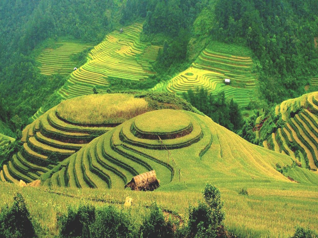 ha-giang-terrace