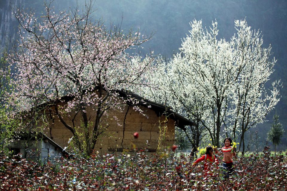 spring-in-ha-giang