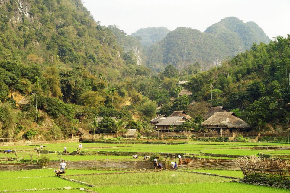 mai-chau-4