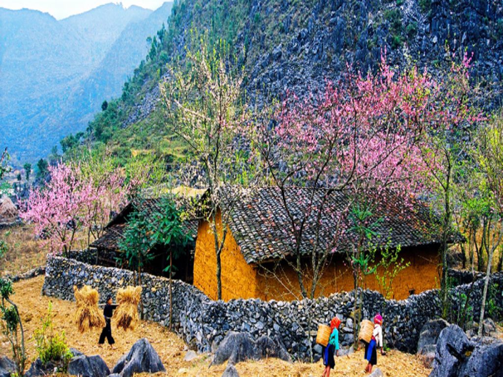 spring-in-ha-giang