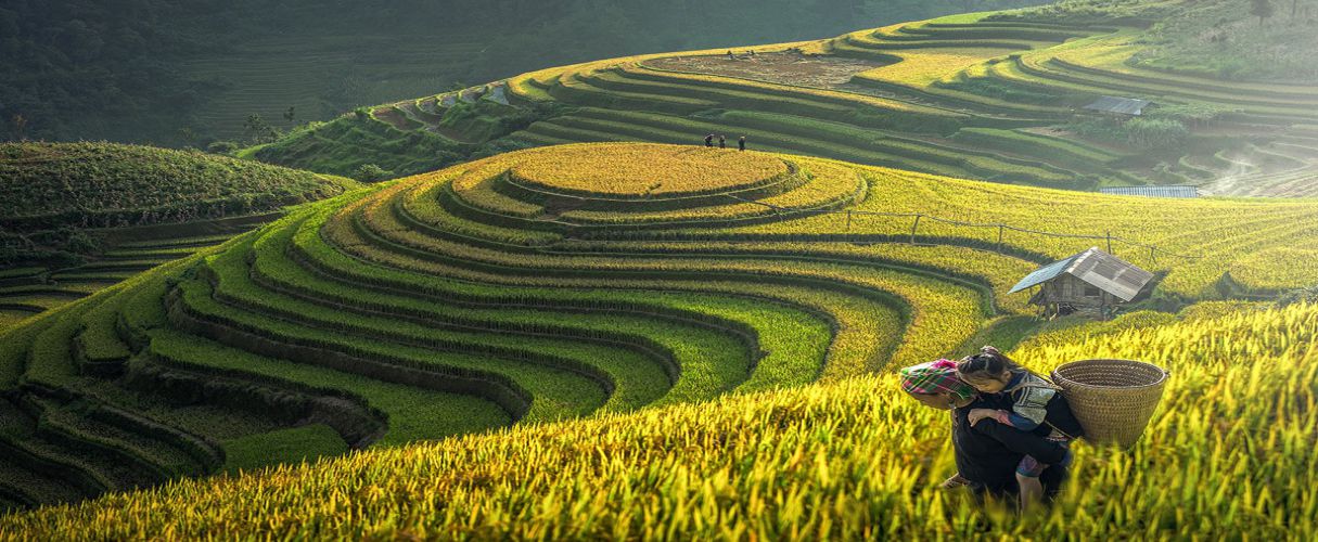 Discover Northern Vietnam package 9 days