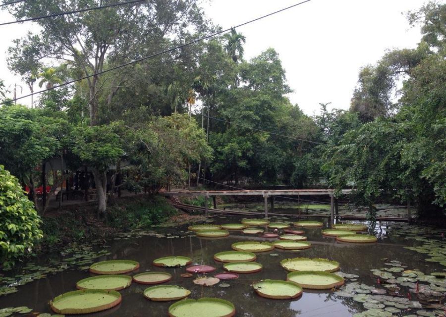 nature-in-xeo-quyt-forest